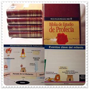 biblia de la profecia tim lahaye pdf books